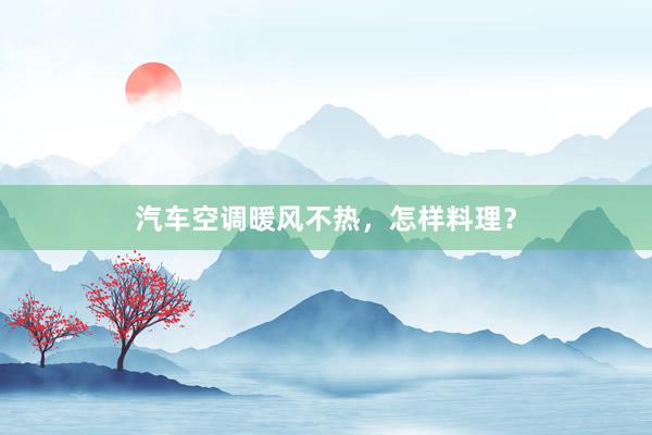 汽车空调暖风不热，怎样料理？